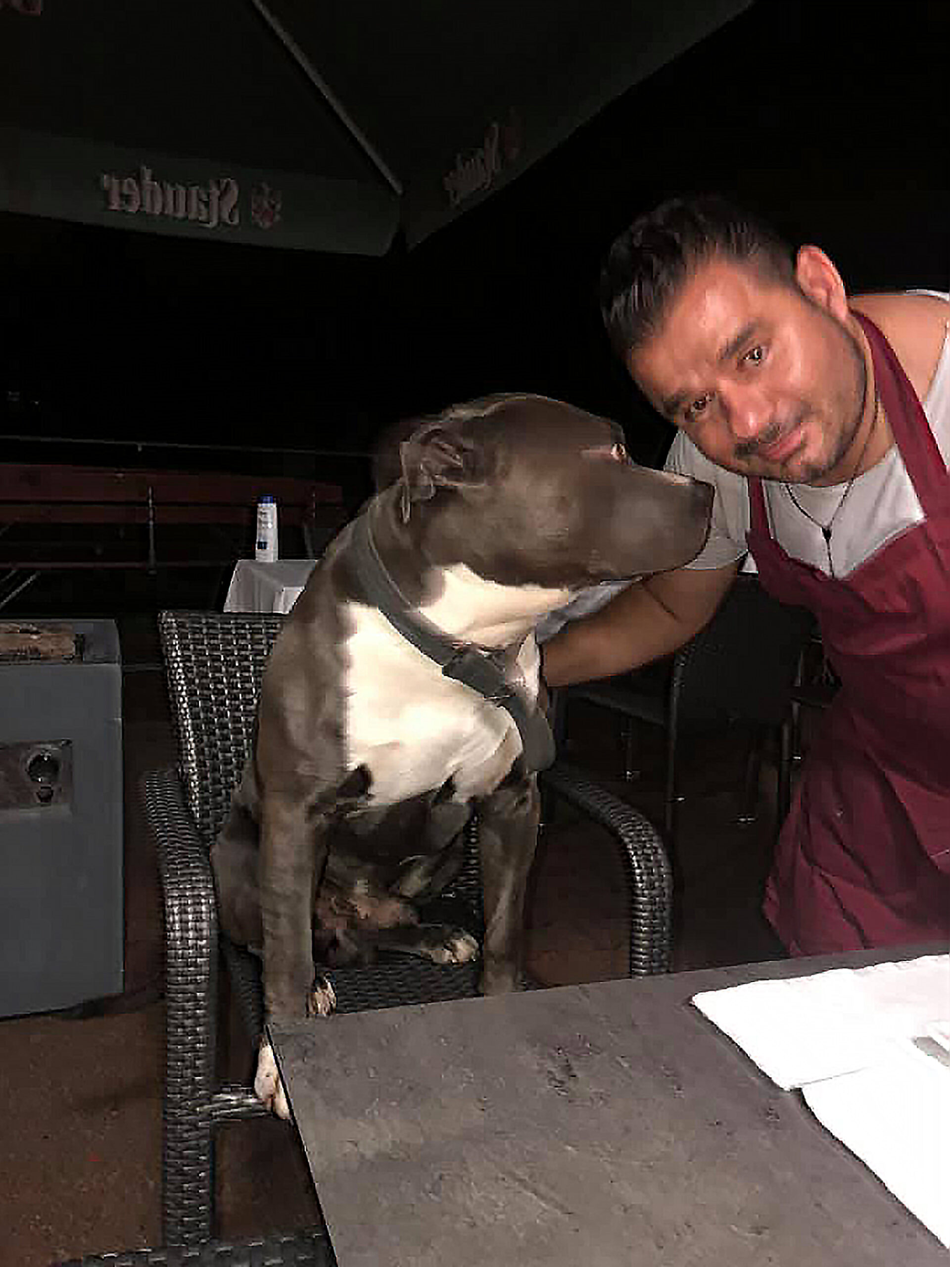 Fausto1 Die Werdener Nachrichten